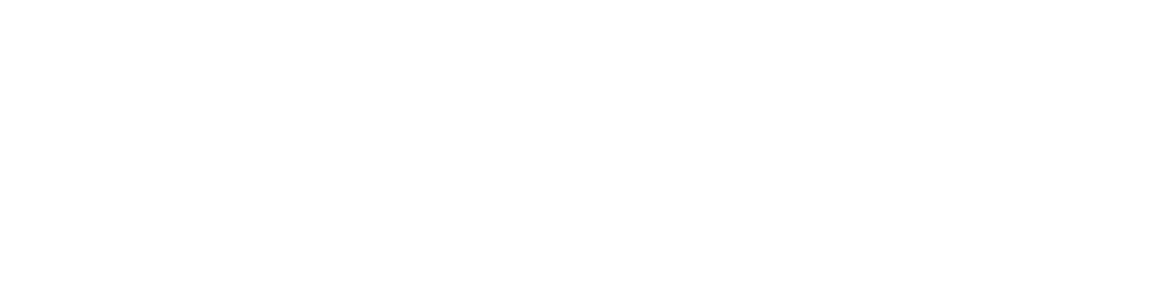 IDI GmbH Logo