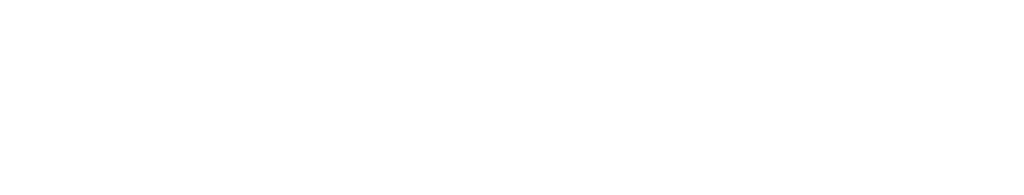 IDI GmbH Logo